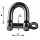 straight forged stainless steel shackle