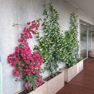 Greening kit