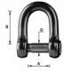 forged Allen shackle